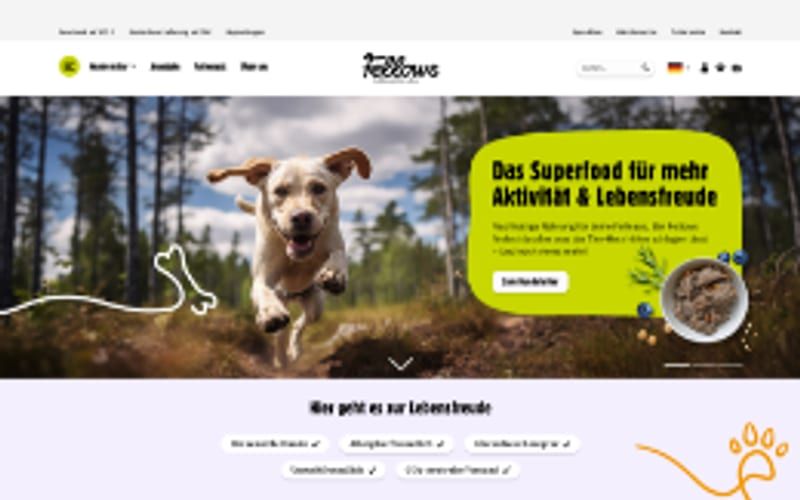 Projekt für Fellows: Ansicht der Website, umgesetzt von Web Labels