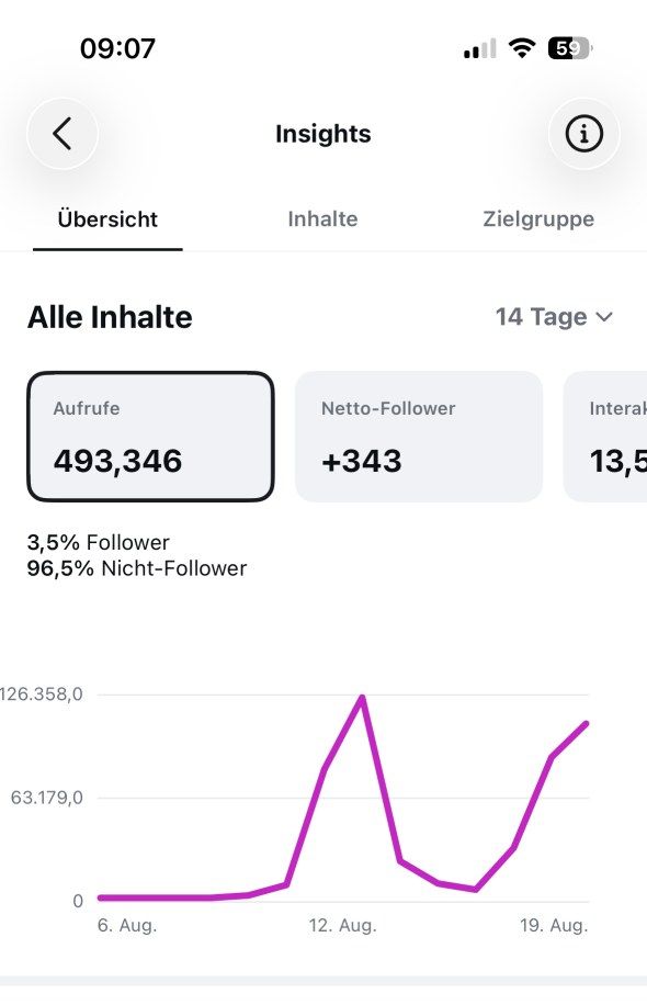 Instagram-Insights, Übersicht über 14 Tage: 493.346 Aufrufe, plus 343 Netto-Follower