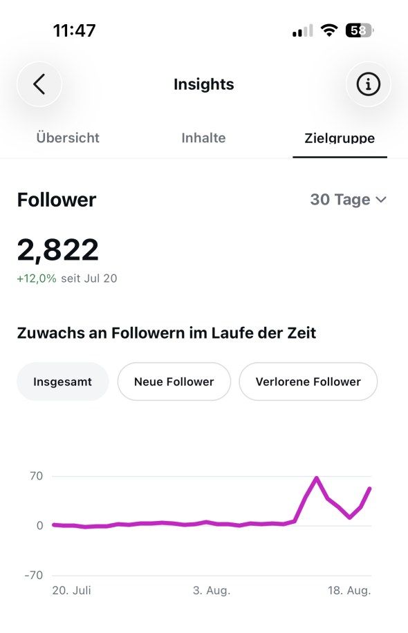 Instagram-Insights, Zielgruppe: 2.822 Follower, plus 12 Prozent seit 20. Juli