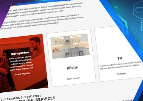 Shopware-6-Plugin Premium-Slider für Artikel und Kategorien von Web Labels: Ansicht der Funktion