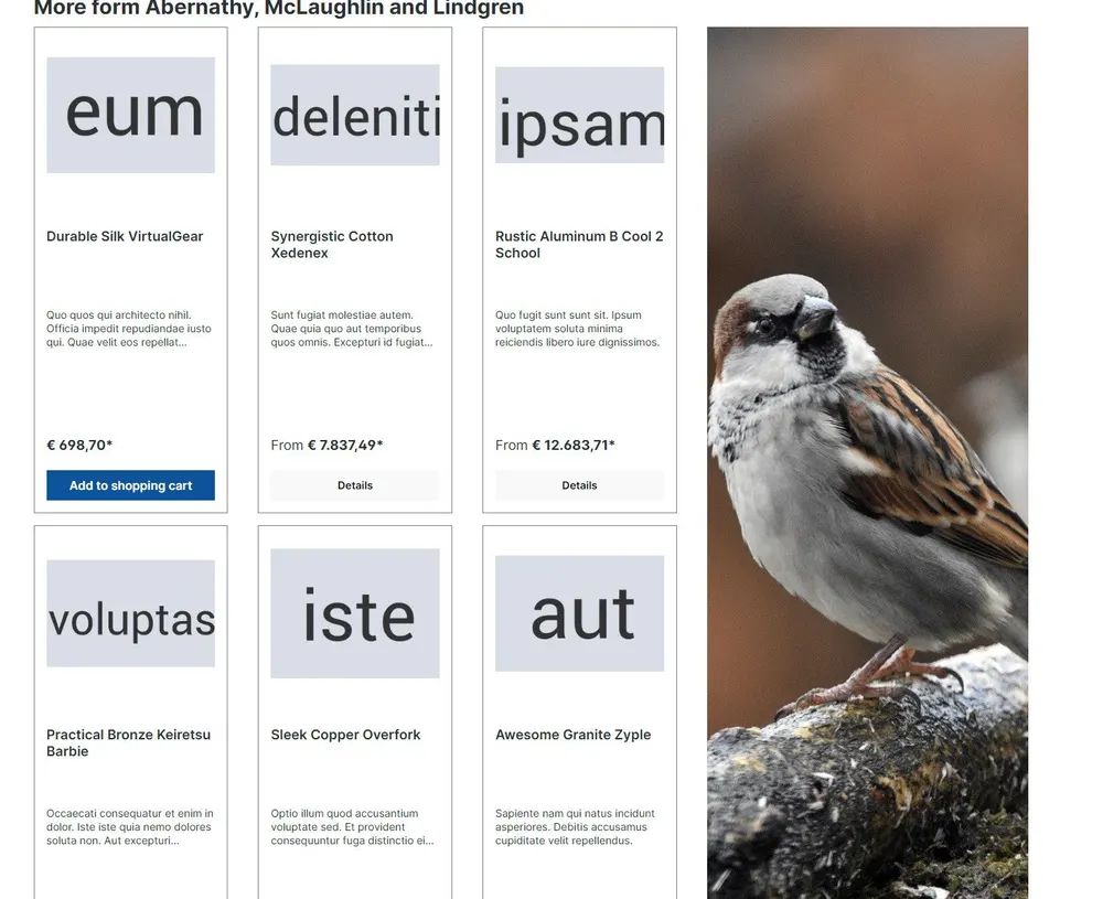 Screenshot Cross-Selling vom selben Hersteller für Shopware 6: Ansicht 1