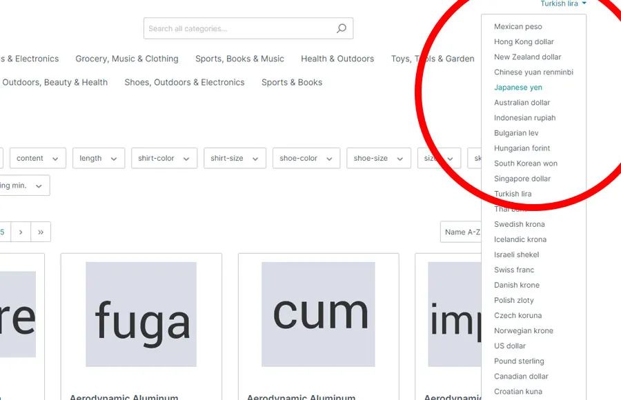 Screenshot Währungsumrechnung mit Live-Kursen für Shopware 6: Ansicht 2