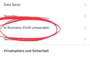 Activate the Instagram business profile Instagram settings: switch to business profile