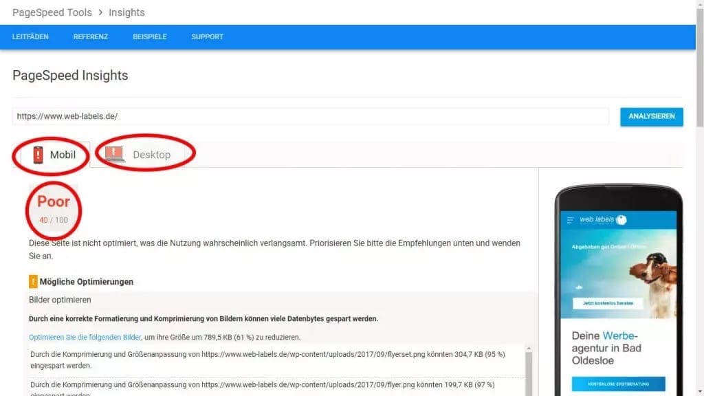 Google PageSpeed Insights: results with optimisation suggestions