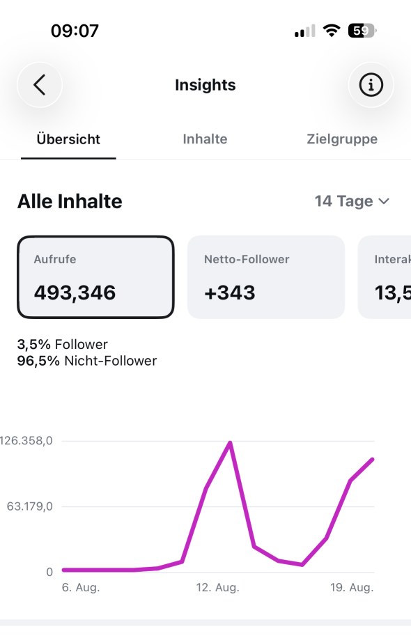 Instagram-Insights, Übersicht über 14 Tage: 493.346 Aufrufe, plus 343 Netto-Follower